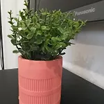 דירה Al Rosa Esperanca