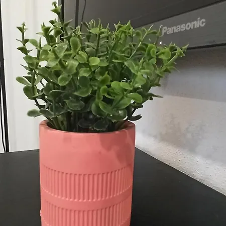 Daire Al Rosa Esperanca