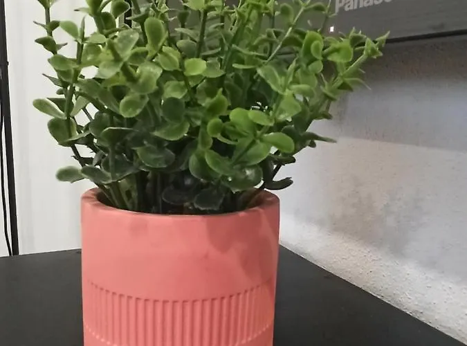 Apartment Al Rosa Esperanca